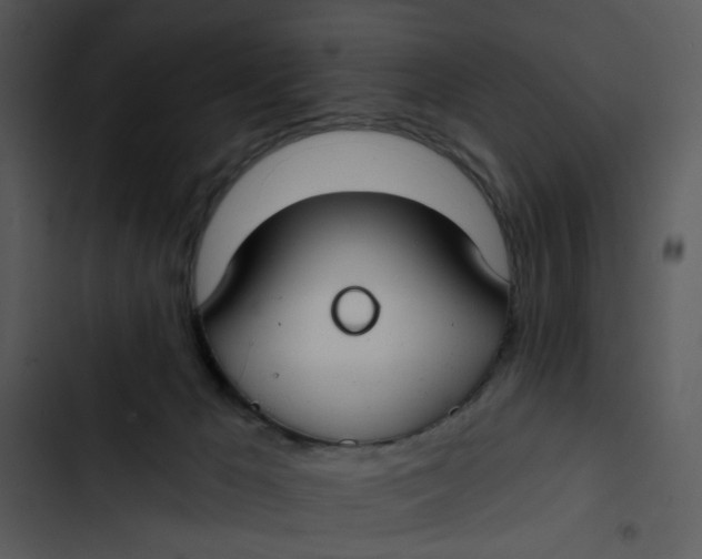 X0000102820029200809081142