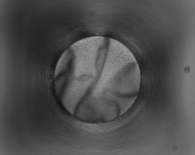 X0000102820030200809081142