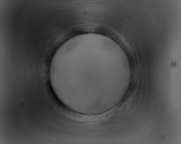 X0000102820031200809081142