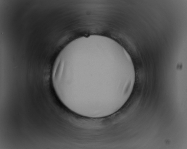 X0000102820032200809081142