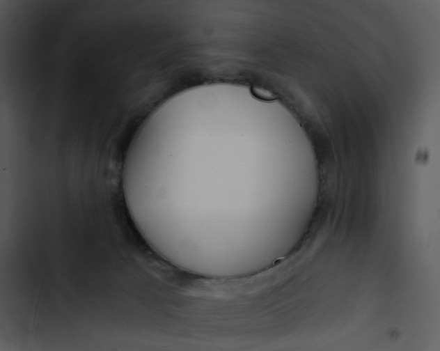 X0000102820033200809081142