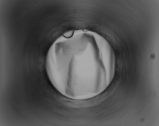 X0000102820034200809081142