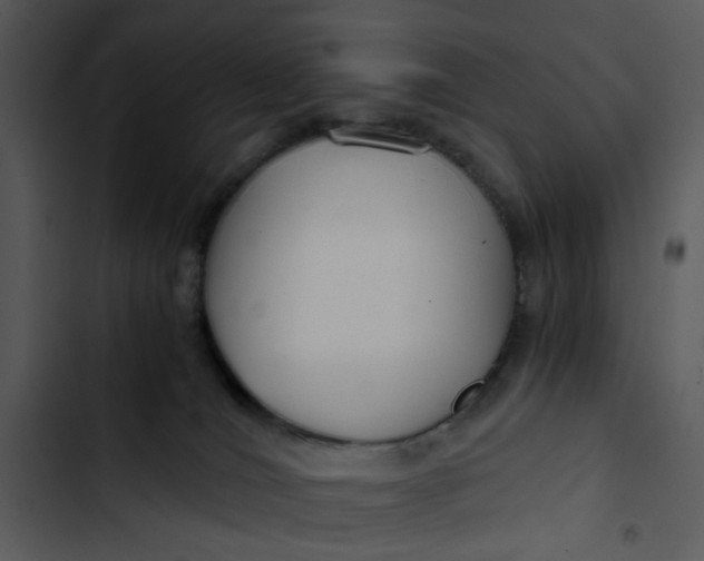 X0000102820036200809081142