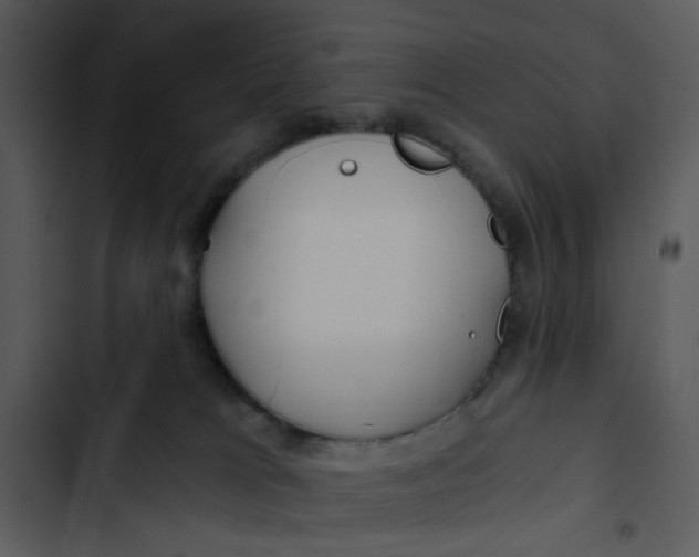 X0000102820037200809081142