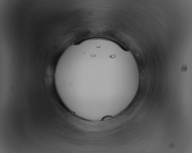 X0000102820038200809081142