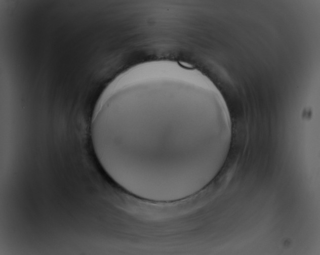 X0000102820039200809081142