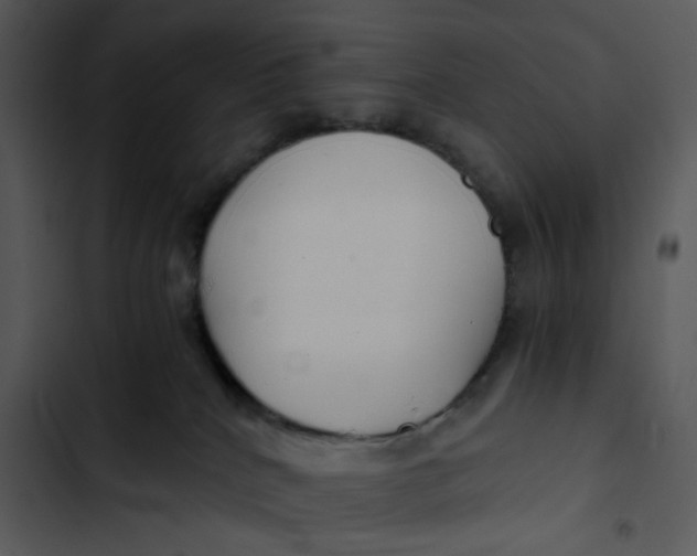 X0000102820040200809081142