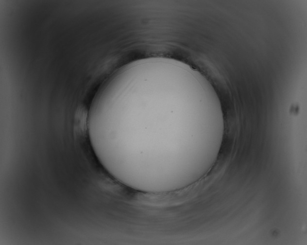 X0000102820041200809081142