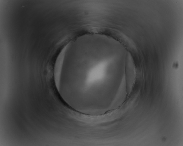 X0000102820043200809081142