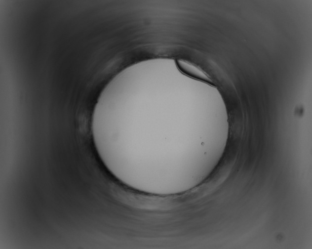 X0000102820044200809081142