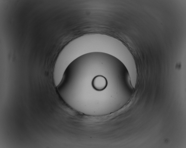 X0000102820045200809081142