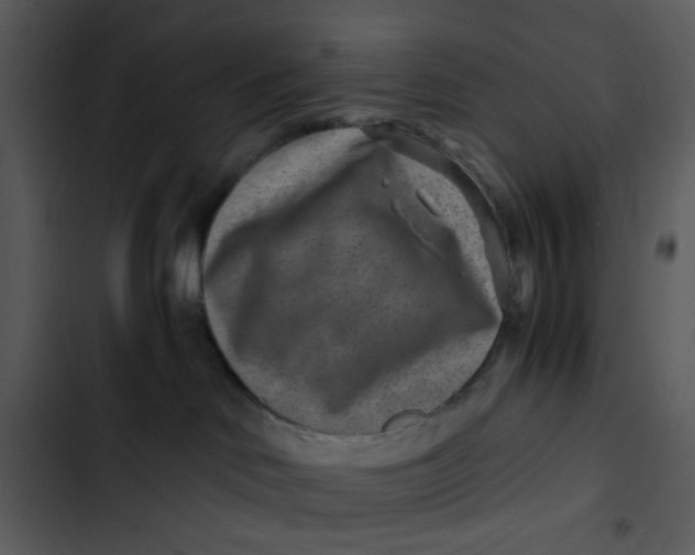 X0000102820046200809081142