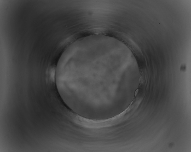 X0000102820047200809081142