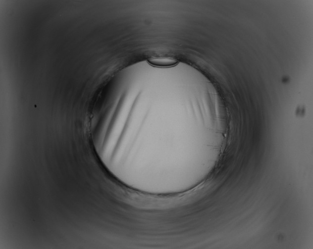 X0000102820048200809081142