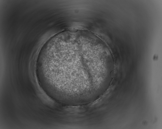 X0000102820049200809081141