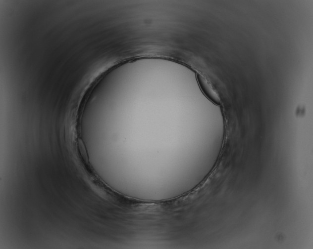 X0000102820050200809081141