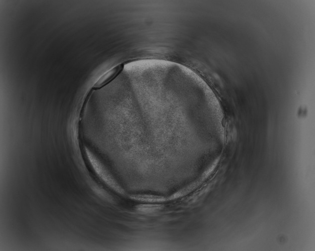 X0000102820051200809081141