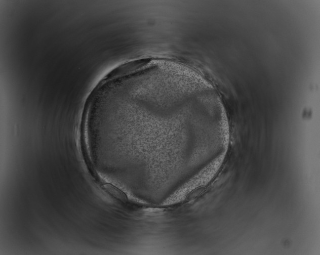 X0000102820052200809081141