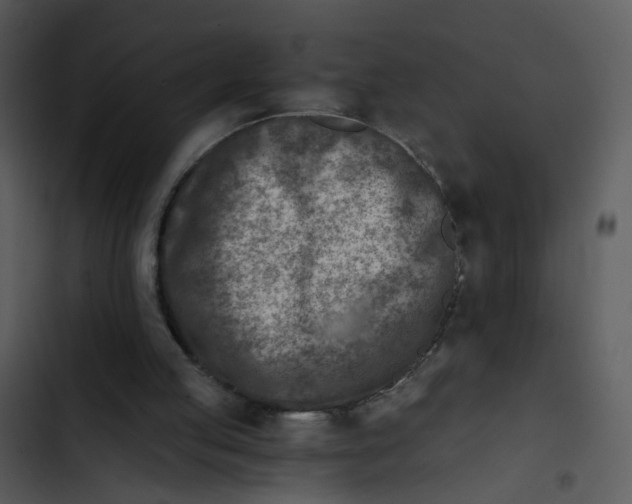 X0000102820053200809081141