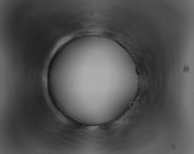 X0000102820054200809081141