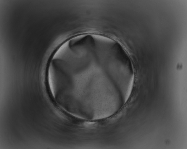 X0000102820055200809081141