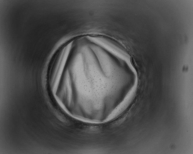 X0000102820056200809081141