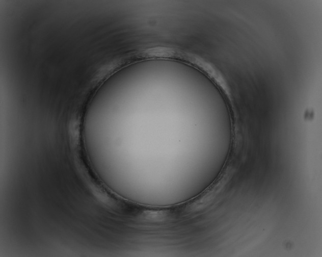 X0000102820057200809081141