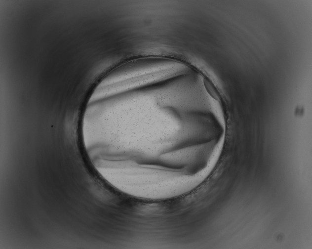 X0000102820058200809081141