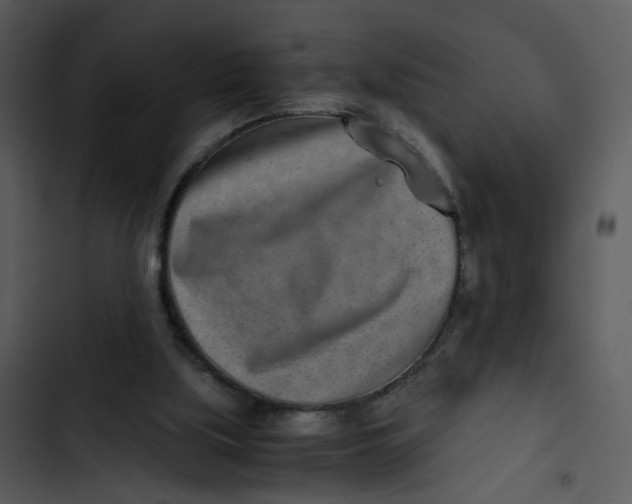 X0000102820059200809081141