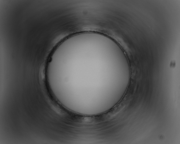 X0000102820060200809081141