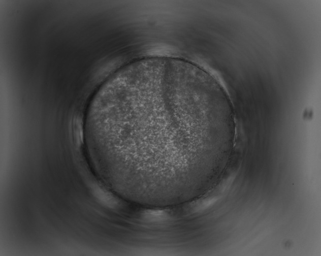 X0000102820061200809081141