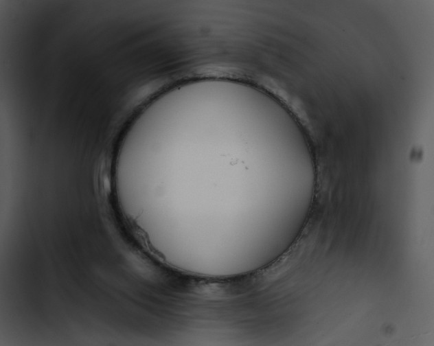 X0000102820062200809081141