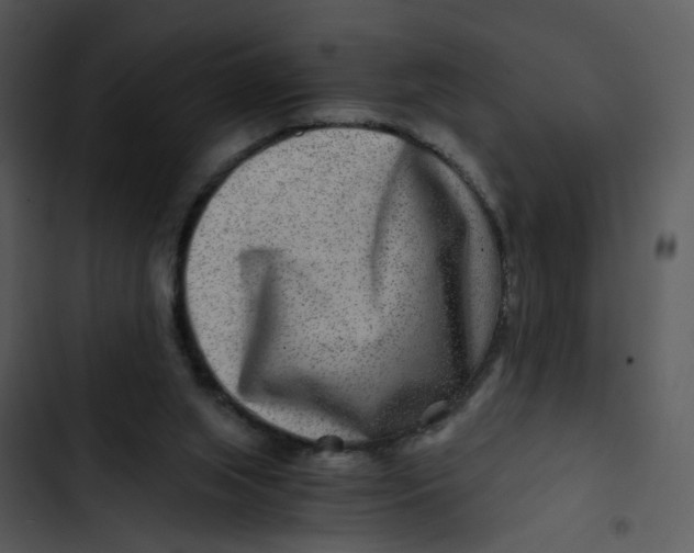 X0000102820063200809081141