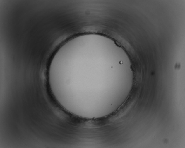 X0000102820064200809081141