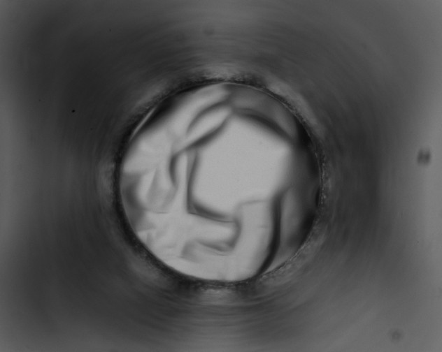 X0000102820066200809081141