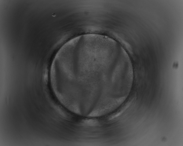 X0000102820067200809081141