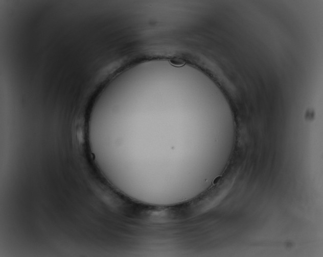 X0000102820068200809081141