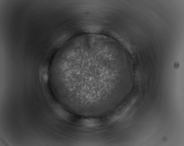 X0000102820069200809081141