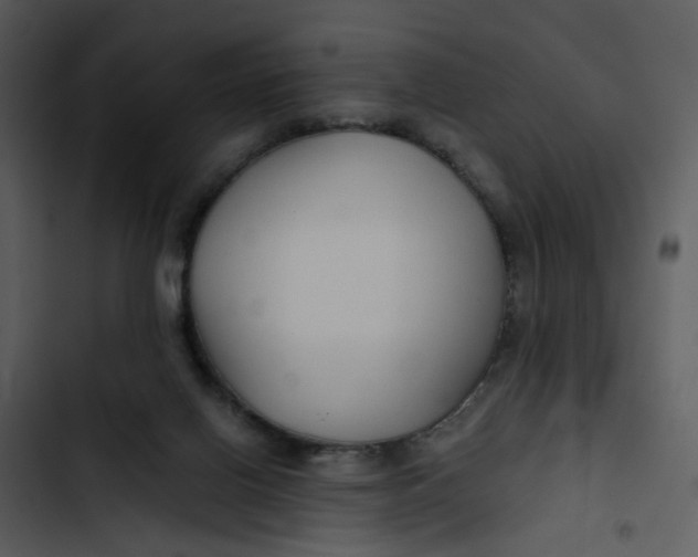 X0000102820070200809081141