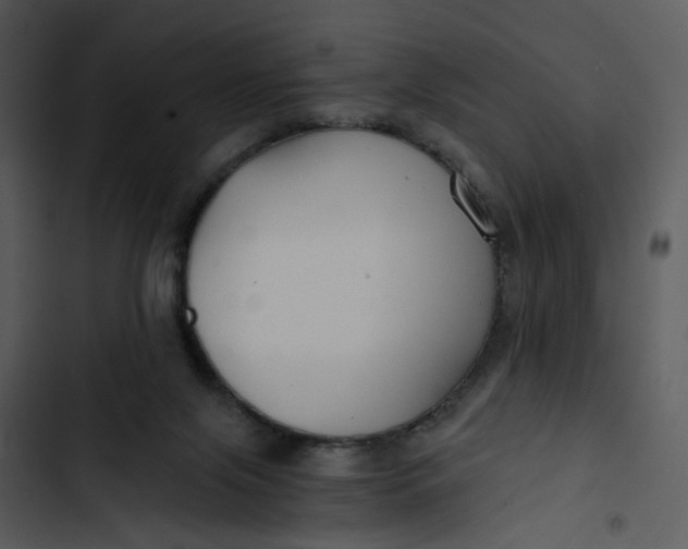 X0000102820071200809081141