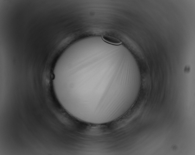 X0000102820072200809081141