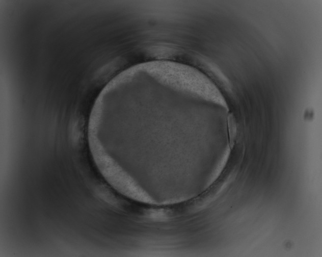 X0000102820073200809081141