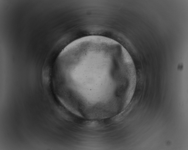 X0000102820074200809081141