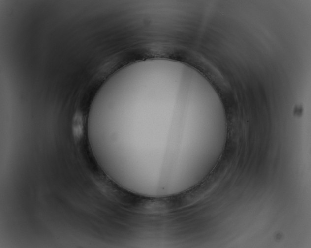 X0000102820075200809081141