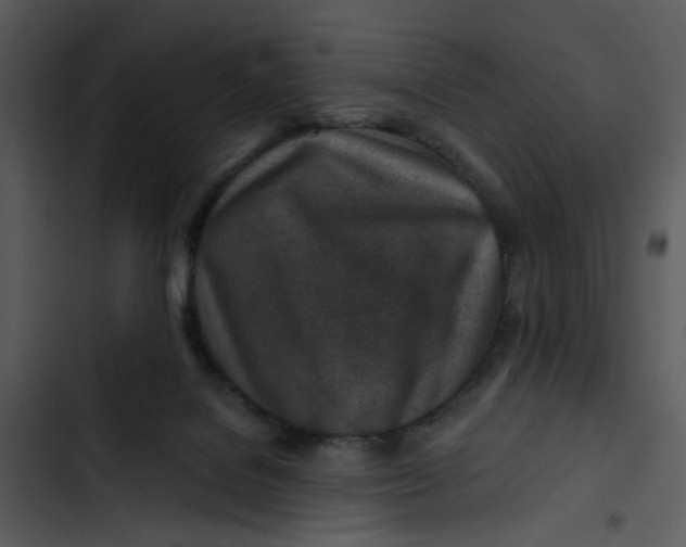 X0000102820076200809081141