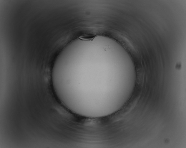 X0000102820077200809081141