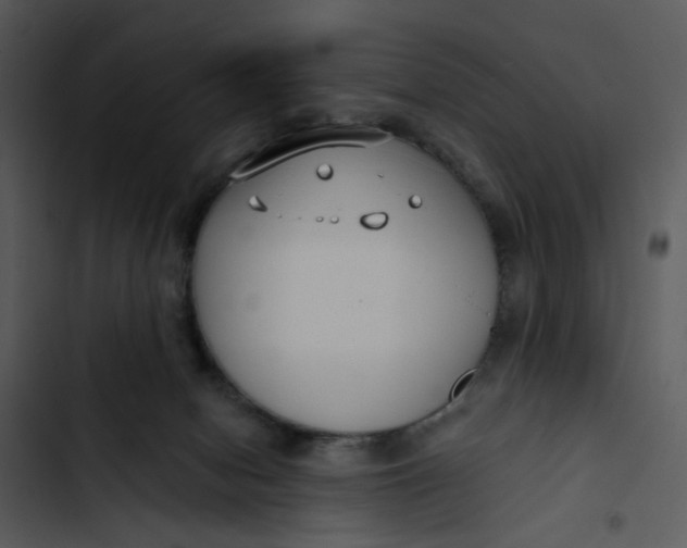 X0000102820078200809081141