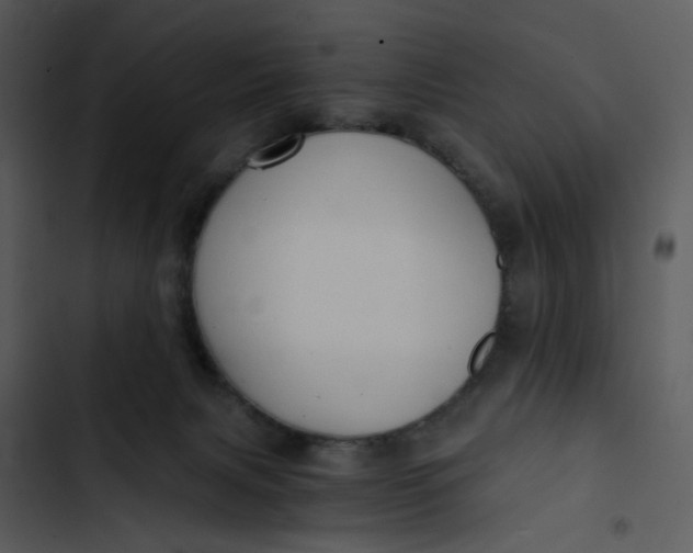 X0000102820079200809081141