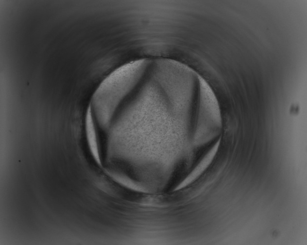 X0000102820080200809081141