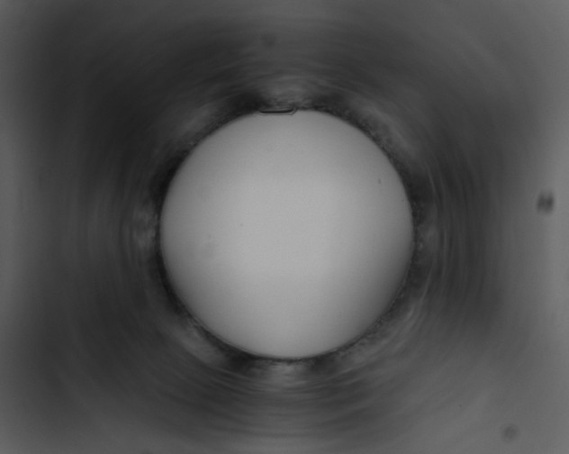 X0000102820081200809081141